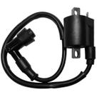 Bobina Ignição Xt 225 Tdm 225 Dt 200 Dt 200R + Cachimbo Da Vela