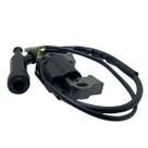 Bobina Modulo De Ignição Motor Gasolina 8hp 9hp 13hp 15hp