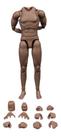 body Muscular Action Figures Corpo Conjunto Mb101 12cm body Muscular Action Figures Corpo Conjunto Mb101 12cm