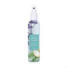 Body Splash Deo Colônia Verbena e Água de Coco Pós Banho 200ml Brisa Suave Abelha Rainha REF 5462