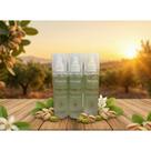 Body Splash Fenzza Pistache