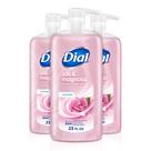 Body Wash Dial Silk & Magnolia 680 ml (pacote com 3)