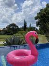 Boia de Flamingo Rosa Para Piscinas / Suporta Bastante Peso