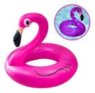 Boia inflável redonda flamingo com led luxo iwbilf