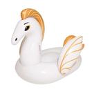 Boia Pegasus Medio