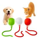 Bola Brinquedo Pet Bolinha Interativa Inteligente Gato Cachorro Usb Bola Brinquedo Pet Bolinha Interativa Inteligente Gato Cachorro Usb