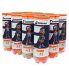 Bola De Beach Tennis Babolat Orange Pacote Com 12 Bolas Bola De Beach Tennis Babolat Orange Pacote Com 12 Bolas