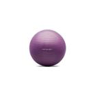 Bola de exercícios 45cm roxo hidrolight