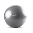 Bola de Exercícios 75cm Cor:Cinza