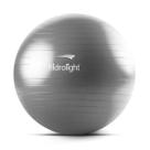 Bola de Exercícios Cinza 75cm Hidrolight
