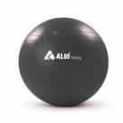 Bola de Exercícios Pilates Yoga Gym 55cm Aluí Fitness Bomba Manual Encher