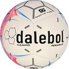 Bola De Futebol De Campo Dalebol Pegasus Nº5 Pu Tb Moltec