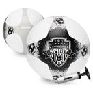 Bola de futebol Franklin Sports NWSL Washington Spirit Tamanho 5 Bola de futebol Franklin Sports NWSL Washington Spirit Tamanho 5