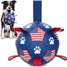 Bola de futebol QDAN, brinquedo para cães, durável para cães pequenos e médios