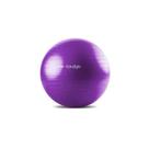 Bola de Ginástica Pilates Hidrolight 65cm - Roxo