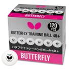 Bola De Tenis De Mesa 40mm Com 120 Unidades Butterfly