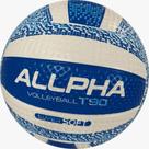 Bola de Vôlei T90 Semi Oficial Bola de Vôlei T90 Semi Oficial