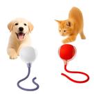 Bola Elétrica Interativa Brinquedo Inteligente Gato Cachorro