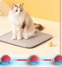 Bola Elétrica para Gatos
