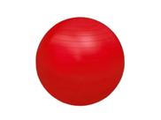 Bola fisioball 55cm (vermelho) fg20 ortho pauher