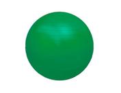 Bola Fisioball Ortho Pauher 45cm