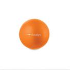 Bola Fisioterapia 20cm com Bomba Pilates Exercicios Ginastica Yoga Hidrolight