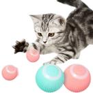 Bola Giratória Inteligente Brinquedo Pet Gato Silicone Usb