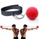 Bola Mágica de Boxe para Treinamento de Velocidade e Coordenação Mão-Olho Bola Mágica de Boxe para Treinamento de Velocidade e Coordenação Mão-Olho