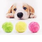 Bola mágica pra pets