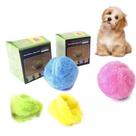 Bola mágica pra pets