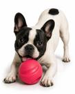 Bola Mordedora Brinquedo Pet Cães Slim Ball 40Mm Pink Neon