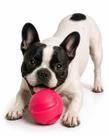 Bola Mordedora Brinquedo Pet Cães Slim Ball 50Mm Pink Neon