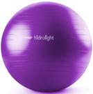 Bola Pilates Suiça Yoga Ginástica Academia 65 Cm 350kg Bomba - Hidrolight