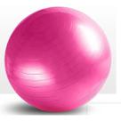 Bola Pilates Yoga Musculação Ginástica 65 Cm C/ Bomba 150kg