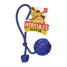 Bola Recheavel Hercules com Corda Azul aroma Carne p/ cães