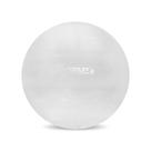 Bola Suíça 65Cm Liveup - Transparente