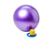 Bola Suíça Anti Explosão para Pilates com Bomba de Ar 65cm
