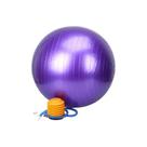 Bola Suíça P/ Pilates Yoga Funcional Fitness 65cm + Bomba Bola Suíça P/ Pilates Yoga Funcional Fitness 65cm + Bomba
