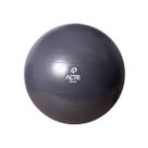 Bola Suíça Para Pilates Com Bomba de Ar Cinza T9-45C - Acte Sports