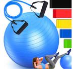 Bola Suíça Pilates Fisio 55cm + Elástico Treino + 5 Miniband