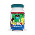 Bolachas mastigáveis Source Naturals Attentive Child 30 unidades