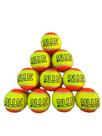 Bolas de Beach Tennis 10 unidades
