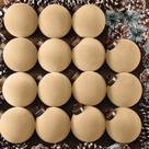 Bolas de Natal Liliful, 15 peças de veludo, 8 cm, cáqui claro