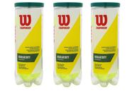 Bolas de Tênis Wilson Championship Saibro RD - 3 Tubos