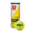 Bolas Tennis Wilson Championship Regular Duty Tubo c/ 3 Bolas Bolas Tennis Wilson Championship Regular Duty Tubo c/ 3 Bolas