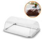 Boleira Retangular Inox 18cm C/ Tampa Cristal 4x1 Bolo Doce Pão Salgado Multiuso Receita Fresca e Protegida