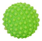 Bolinha Anti-stress Bola Cravo Massagear Fisioterapia Pets