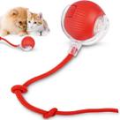 Bolinha Interativa Usb Para Gato E Cachorro - Pet Automática