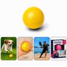 Bolinha Lisa Fisioterapia de Mãos Anti Stress Pet e Exercícios Frescobol