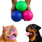 Bolinha Pet Bola Cachorro Grande Borracha Maciça Brinquedo Anti Stress 3u